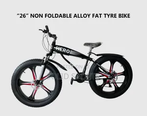 Brand New Original Strong Big Tire Bicycle
