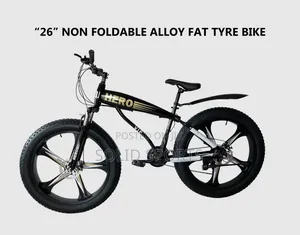 Brand New Original Strong Big Tire Bicycle