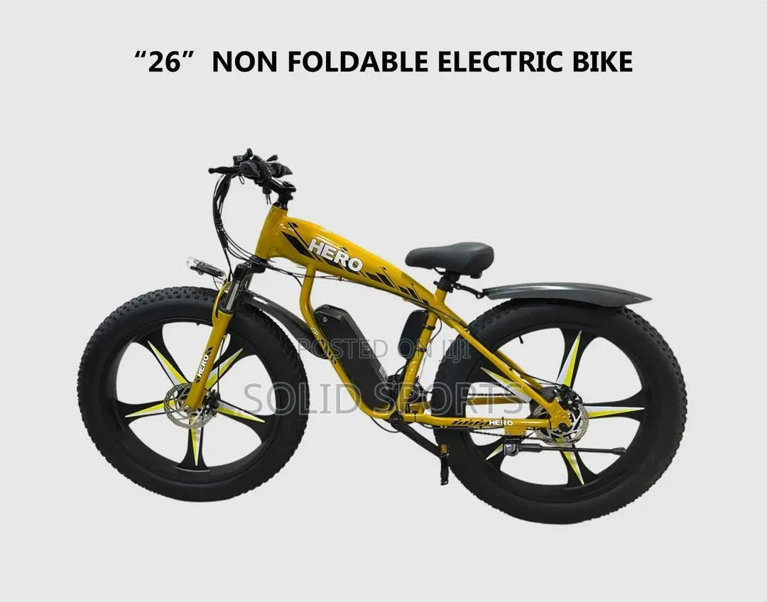 Electric Big Tire Bicycle
