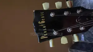 Electric Guitar