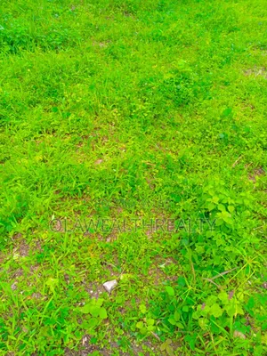 2,148sqm Residential Plot at Maitama 2