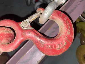 2ton Safety Latch Crosby Eye Hook