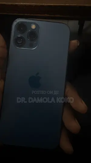 Apple iPhone 12 Pro Max 256 GB Blue