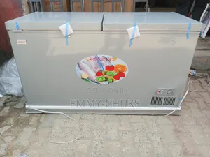 Quality Double Door Deep Freezer 600l Hoomex