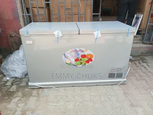 Frozen Deep Freezer Double Door 600l