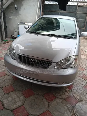 Toyota Corolla LE 2007 Silver
