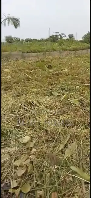 Full Plot of Land