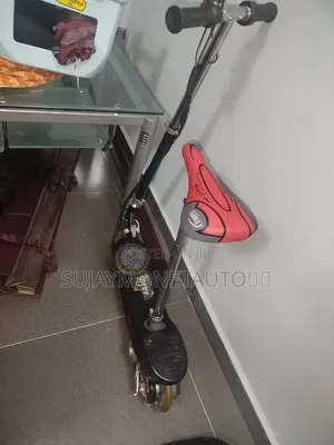 Electric Scooter With Charger