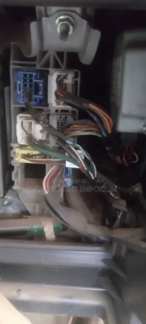 Professional Automobile Electrician)