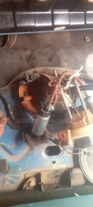 Professional Automobile Electrician)