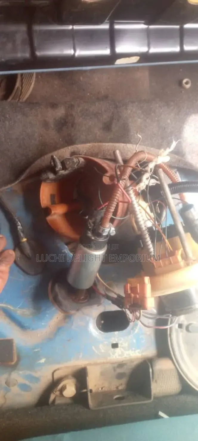 Professional Automobile Electrician)