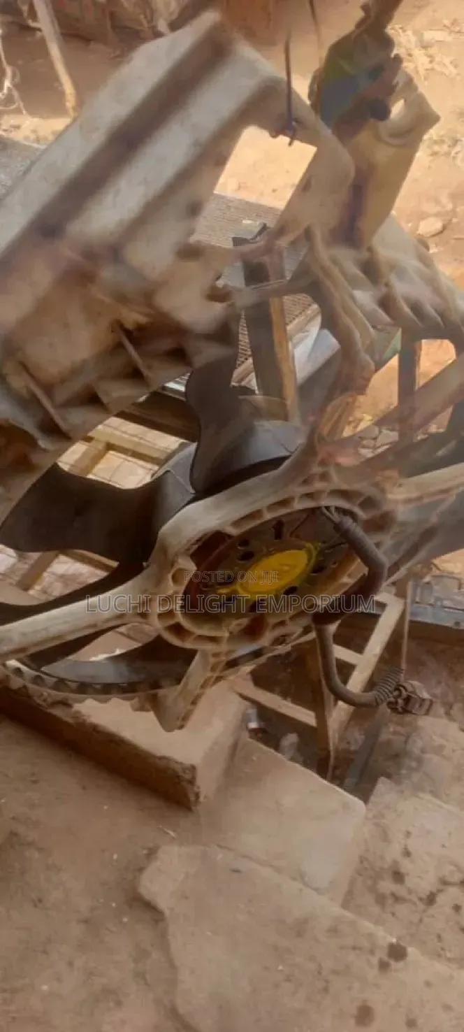 Professional Automobile Electrician)