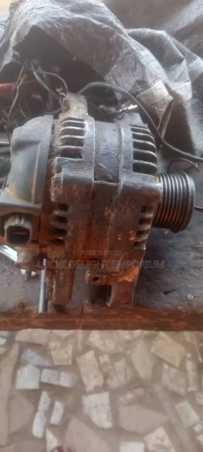 Professional Automobile Electrician)