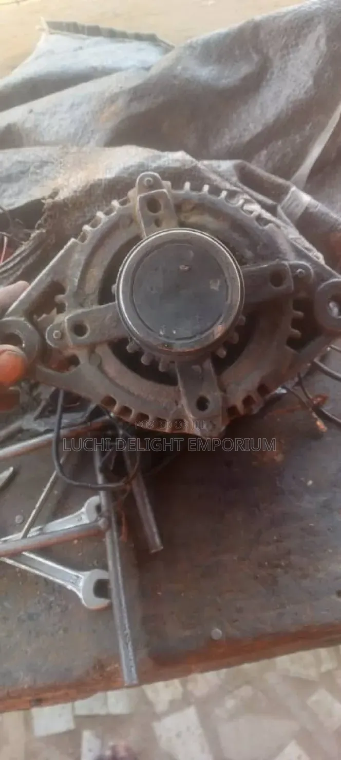 Professional Automobile Electrician)