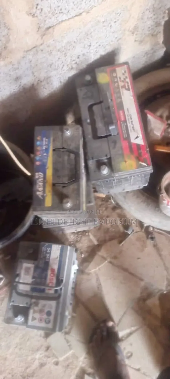 Professional Automobile Electrician)