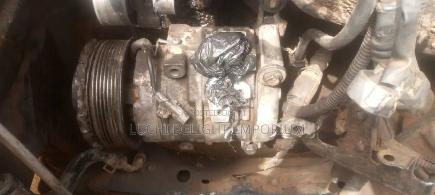 Professional Automobile Electrician)