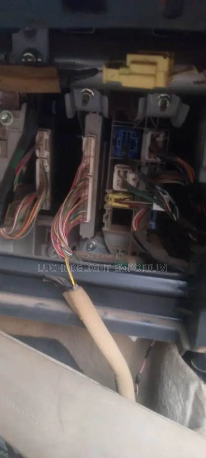 Professional Automobile Electrician)