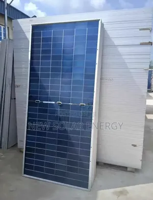 Longi Solar Panel