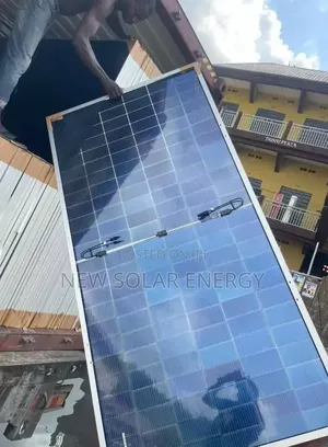 Longi Solar Panel