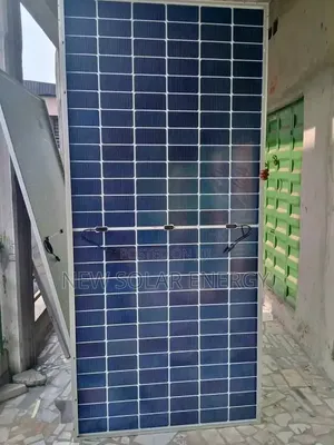 Longi Solar Panel
