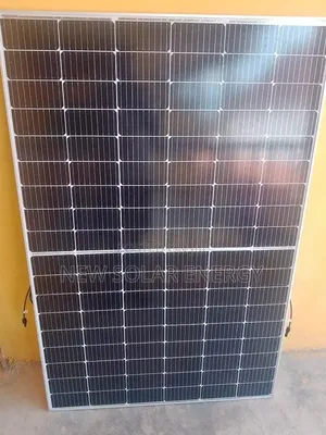 Longi Solar Panel