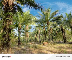 Land for Sell