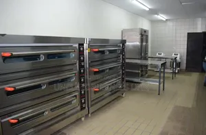 9 Trays Gas Oven