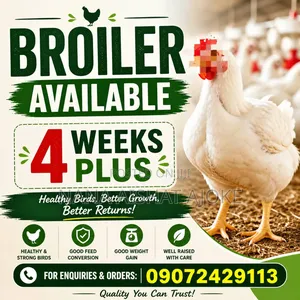 Broiler and Nuriler Chicken