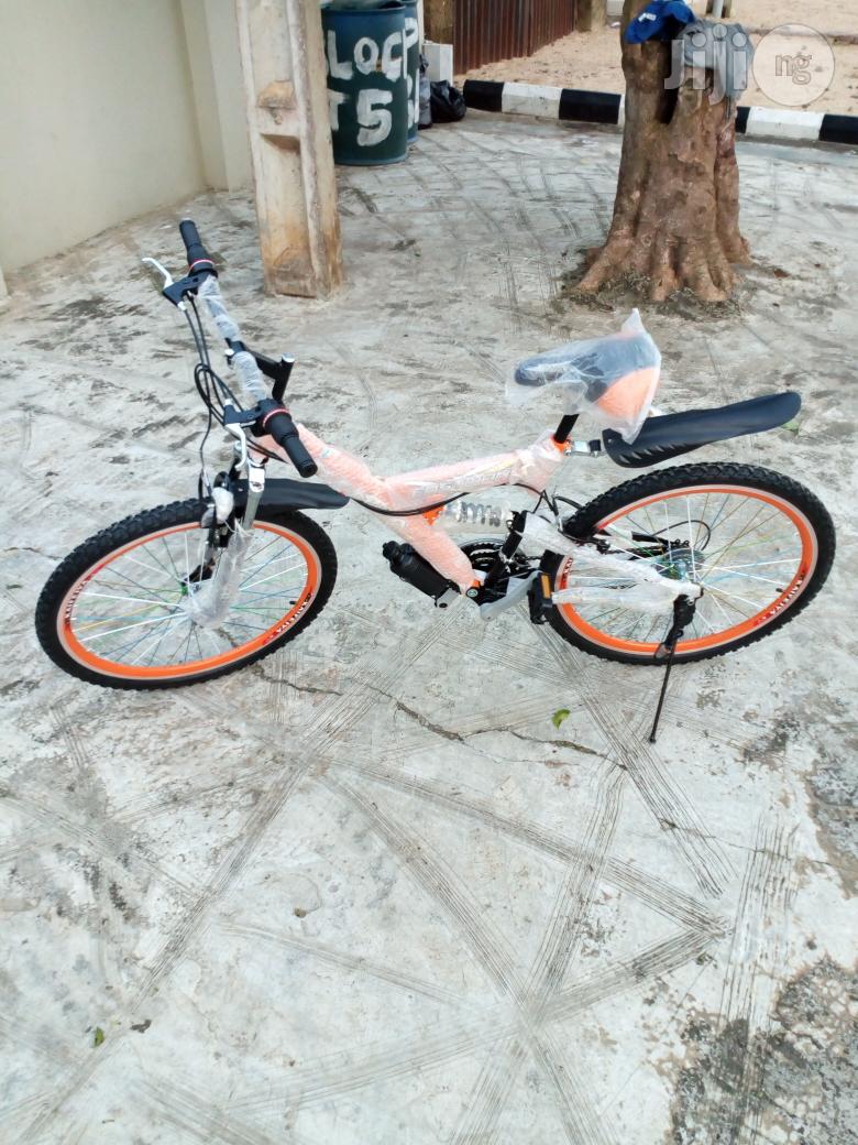Bicycle New Standard Bike