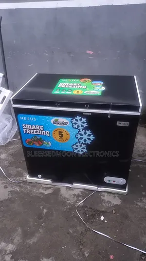 Nexus Inverter Chest Freezer 300liters 10 Years Company Warranty