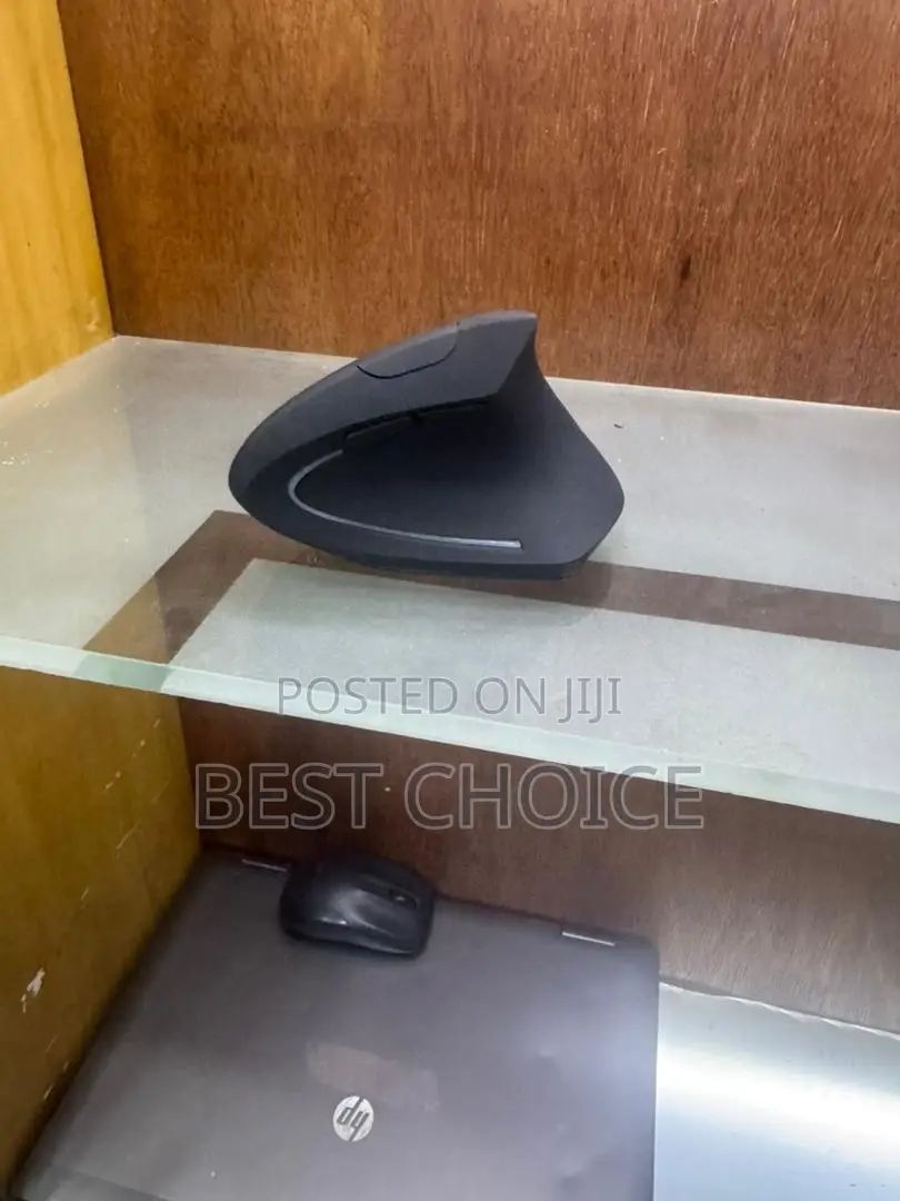 Ergonomic Wireless Mouse