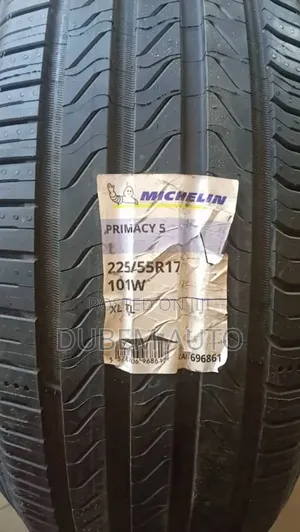 225/55r17 Michelin Tire