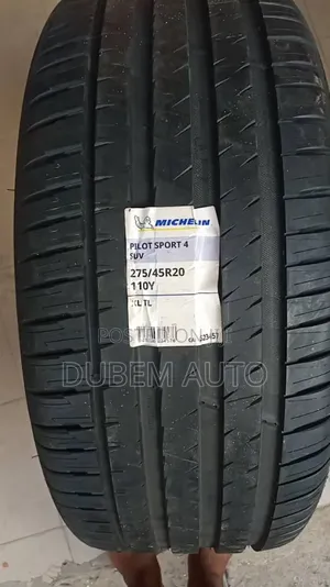 275/45r20 Michelin Tire