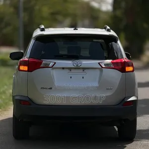 Toyota RAV4 XLE 4dr SUV (2.5L 4cyl 6A) 2014 Silver