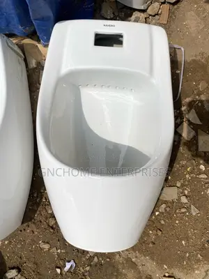 Urinal Automatic