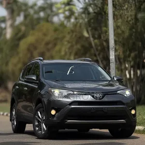 Toyota RAV4 Limited AWD (2.5L 4cyl 6A) 2017 Gray
