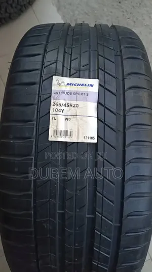 265/45r20 Michelin Tire