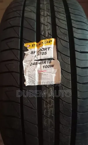 245/45r18 Dunlop Tire
