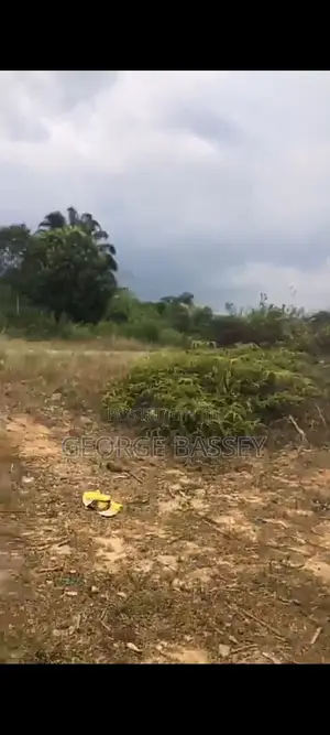 Land for Sale at Ikot Abasi Onna Local Government Area