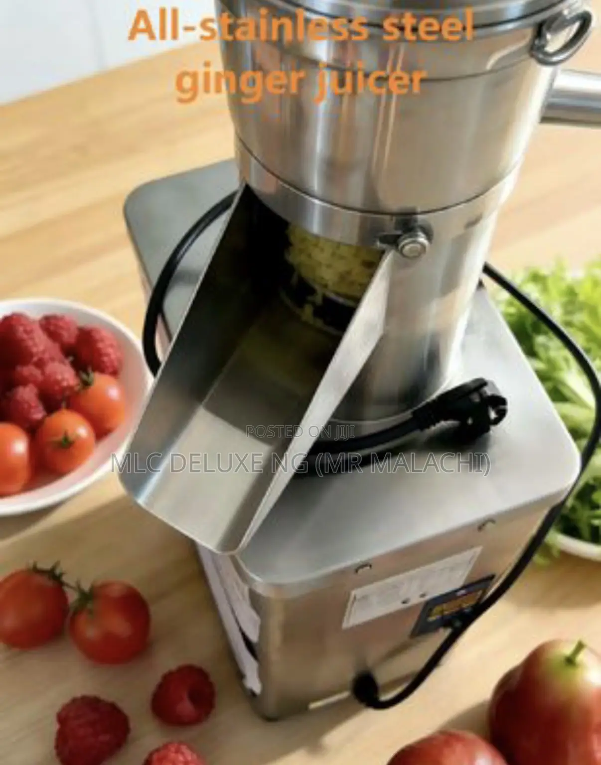 Industrial Slow Juicer / Multi Purpose Stainless Fruit Juice Extractor