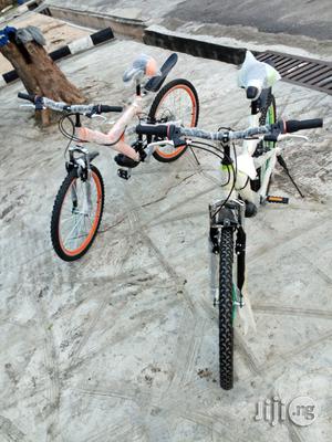 Adult Sports Bicycle