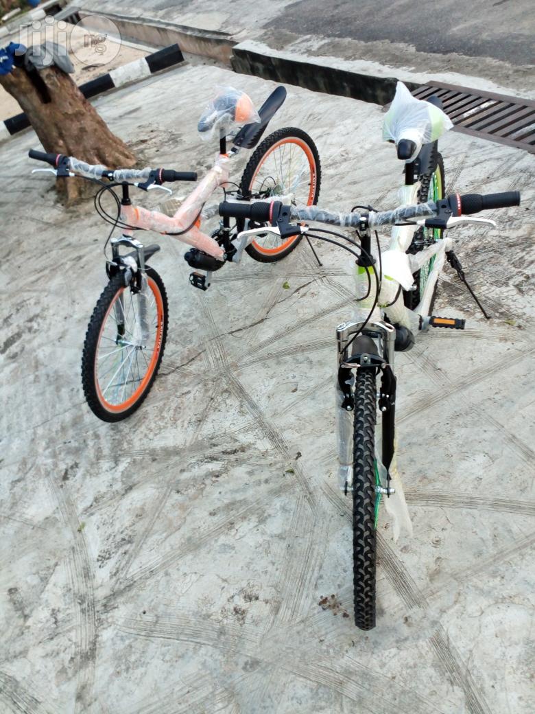 Adult Sports Bicycle