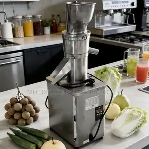 Stainless Industrial Slow Juicer Machine (Multi Purpose) Heavy Duty