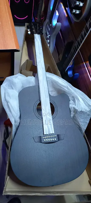 Stringberg Semi Acoustic Guitar