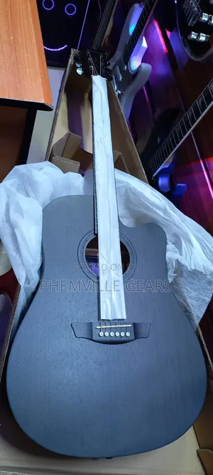 Stringberg Semi Acoustic Guitar