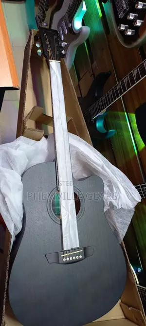 Stringberg Semi Acoustic Guitar