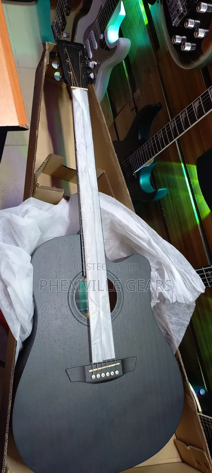 Stringberg Semi Acoustic Guitar