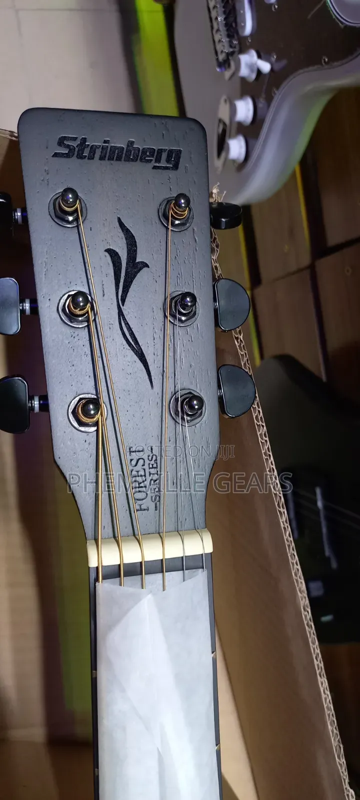 Stringberg Semi Acoustic Guitar