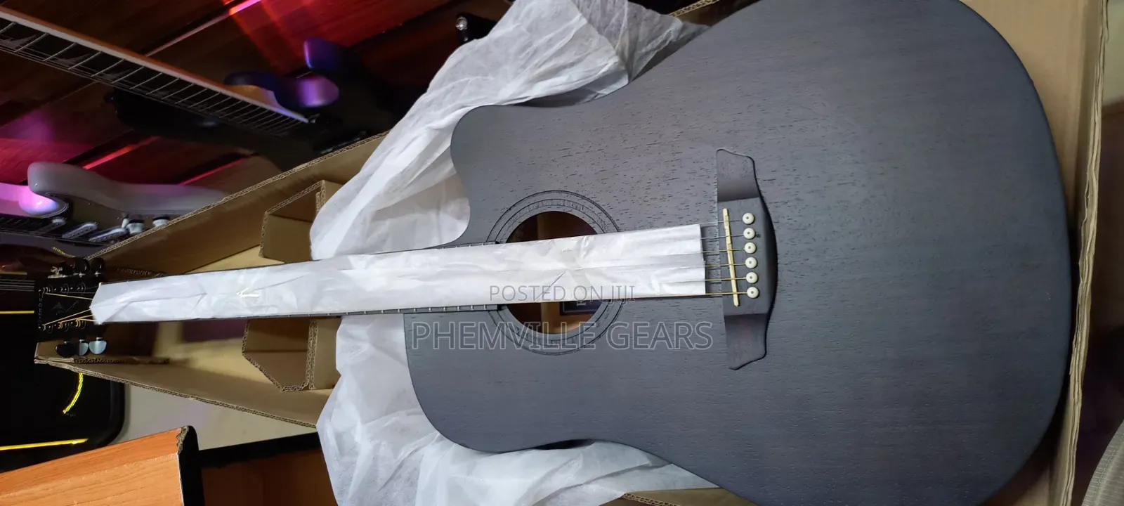 Stringberg Semi Acoustic Guitar