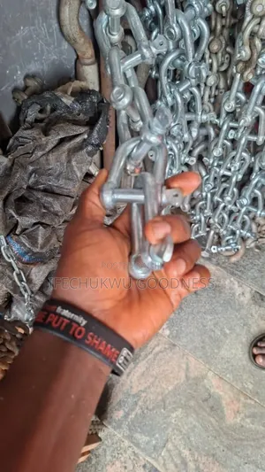 Stainless, Galvanized and Steel Shackle Available in All Sizes